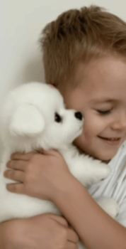 Wuffy Robot Puppy users review